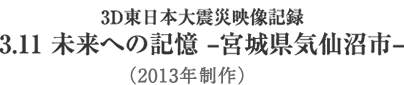 3D東日本大震災映像記録　3.11 未来への記憶 - 宮城県気仙沼市 -