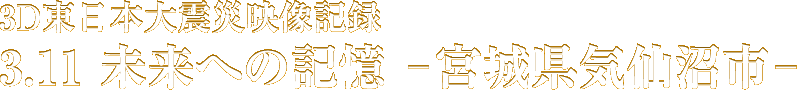 3D東日本大震災映像記録　3.11 未来への記憶 - 宮城県気仙沼市 -