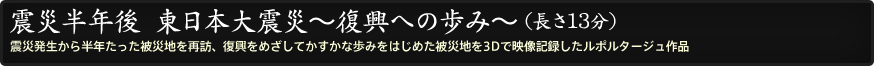 震災半年後　東日本大震災～復興への歩み～（長さ13分）
震災発生から半年たった被災地を再訪、復興をめざしてかすかな歩みをはじめた被災地を3Dで映像記録したルポルタージュ作品