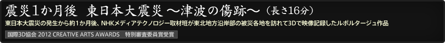 震災1か月後　東日本大震災～津波の傷跡～（長さ16分）
東日本大震災の発生から約1か月後、NHKテクノロジーズ取材班が東北地方沿岸部の被災各地を訪れて3Dで映像記録したルポルタージュ作品