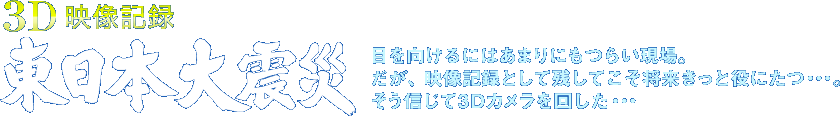 3D映像記録　東日本大震災　目を向けるにはあまりにもつらい現場。だが、映像記録として残してこそ将来きっと役にたつ・・・。そう信じて3Dカメラを回した・・・